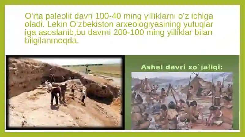O’rtapaleolit davri 4