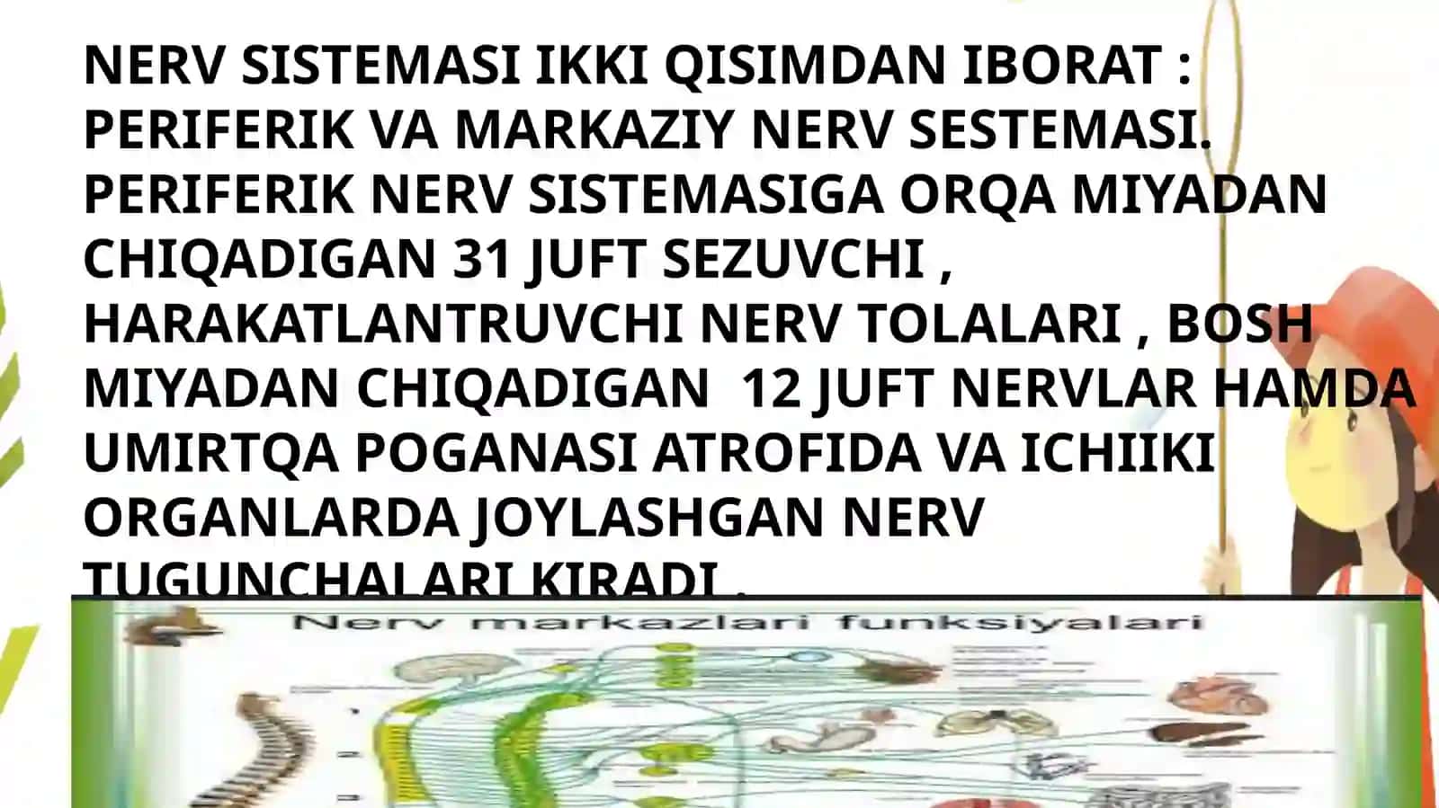 NERV SESTEMASI 4