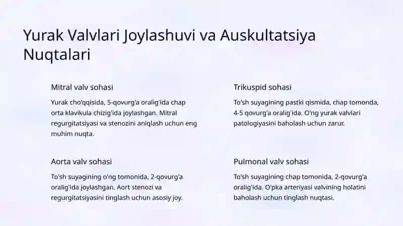 Yoqrangi Yurak Shovqinlari va Ularning Tahlili 4