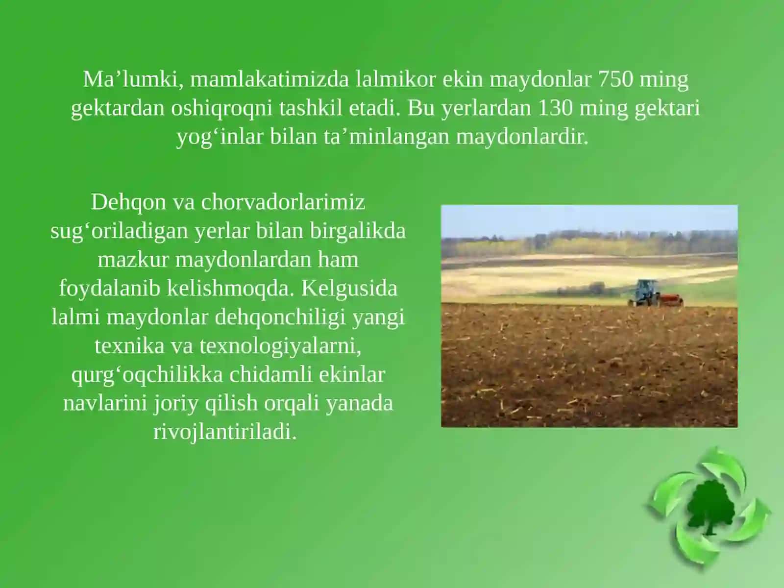 Lalmikoryerlar 4