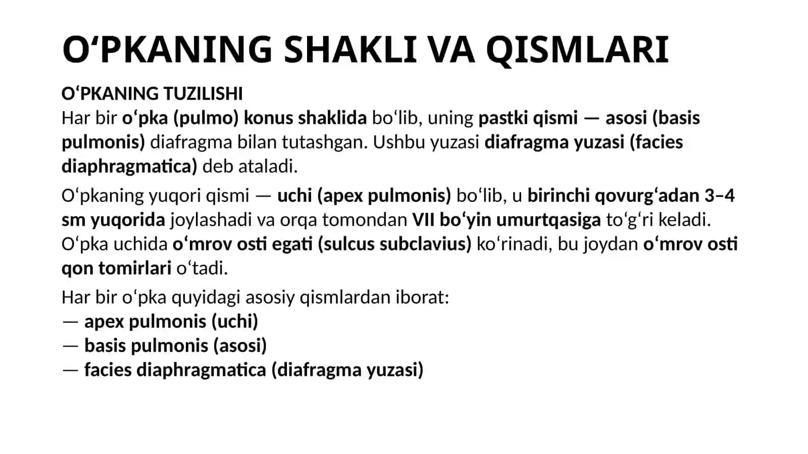 O‘PKA VA PLEVRA ANATOMIYASI 4