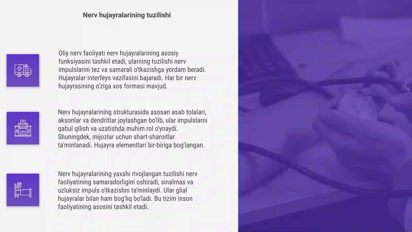 Oliy nerv faoliyati 4
