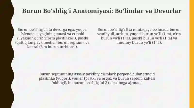 Ko'z kosasi va burun bo'shlig'i anatomiyasi 4
