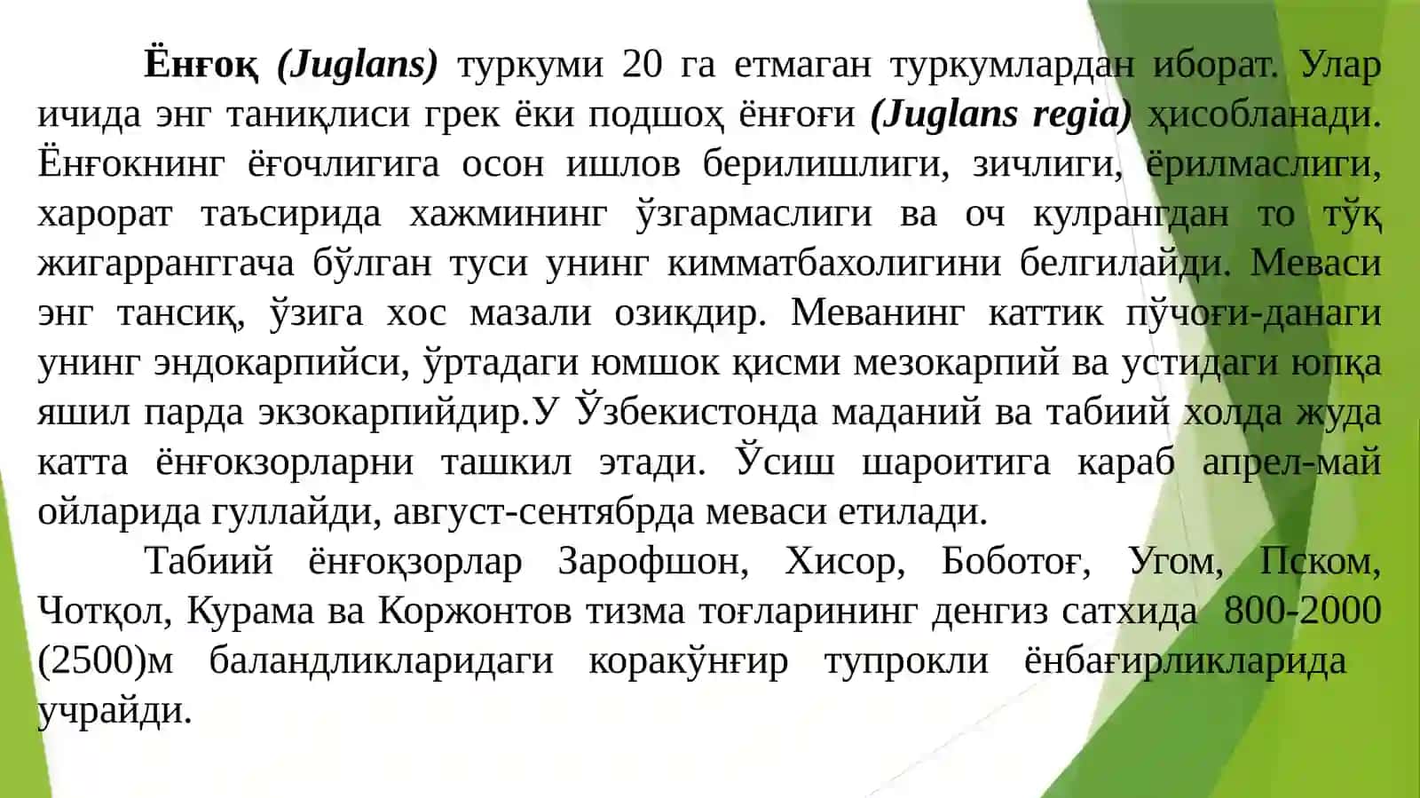 Ёнғоқдошлар(Juglandaceae) oила 4