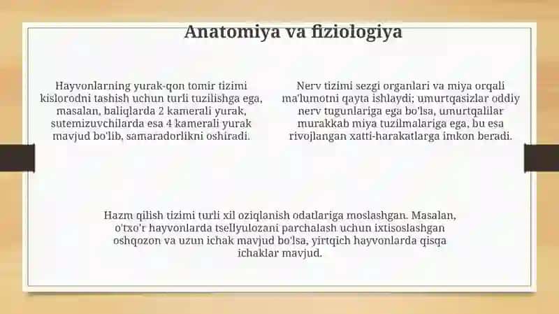Hayvonlar Taksonomiyasi 4