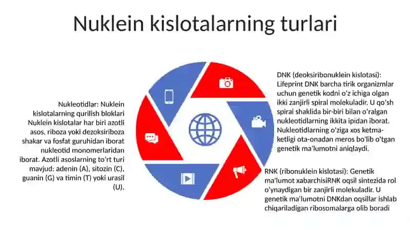 Nuklein Kislotalar Tuzilishi Va Funksiyalari 4