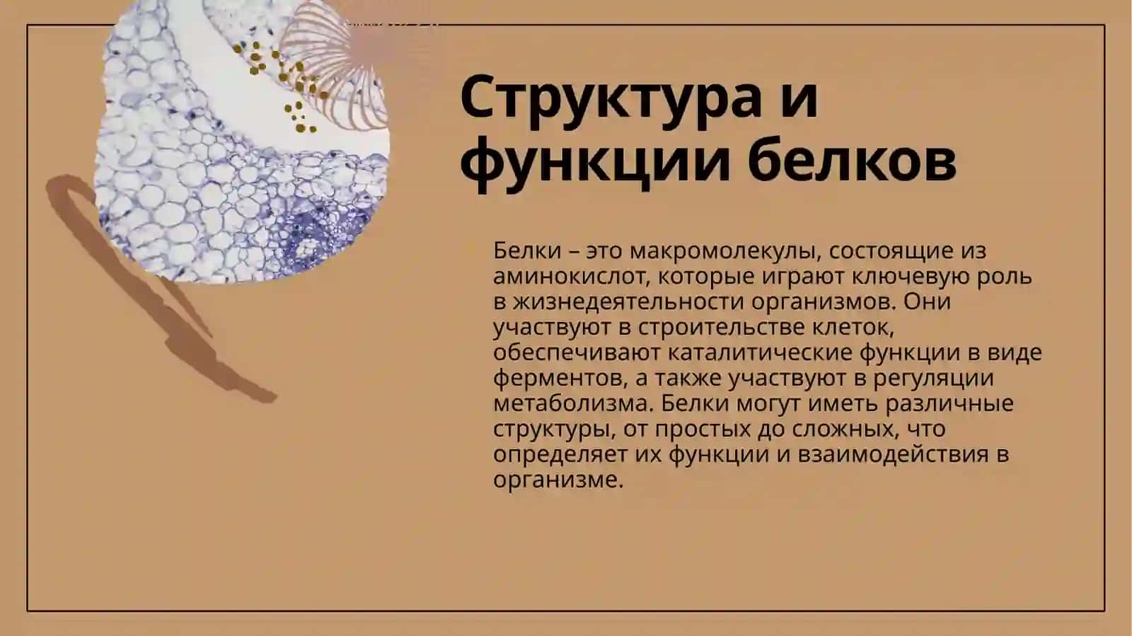 Физика-химические свойства белков. Лабораторная работа 4