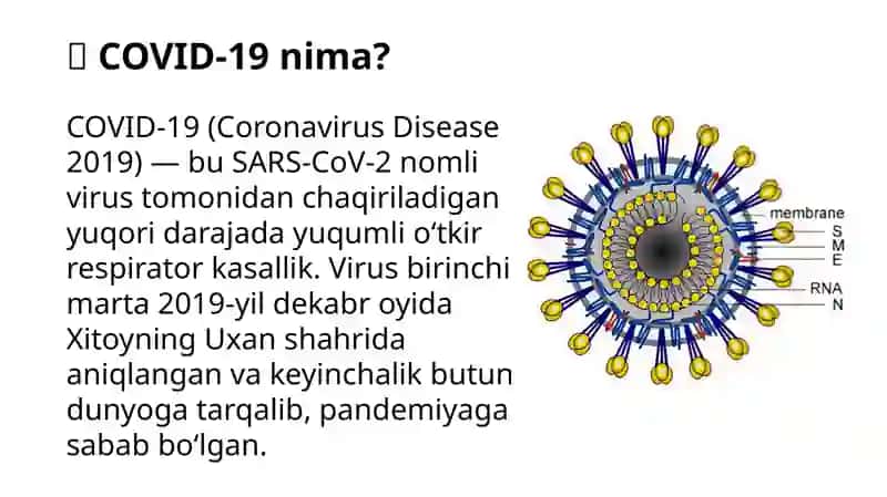 Gripp, OʻRVI va Covid-19 kasalliklari etiologiyasi klinikasi va davolash. 4