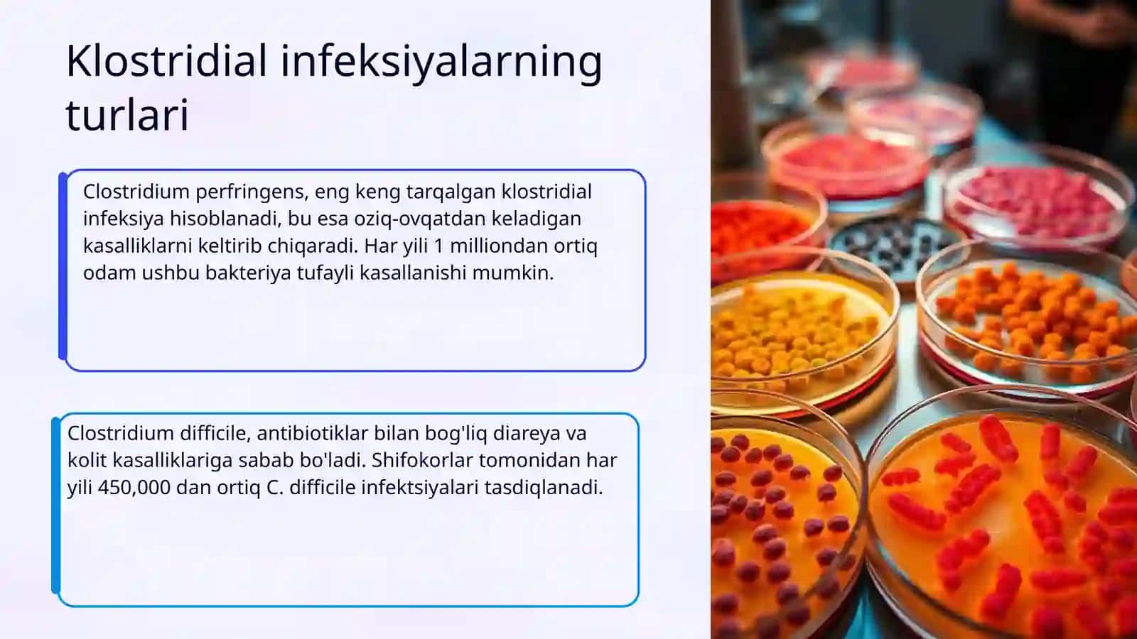 Klostridial va noklostridial infeksiyalar va ularning tibbiyotdagi ahamiyati 4