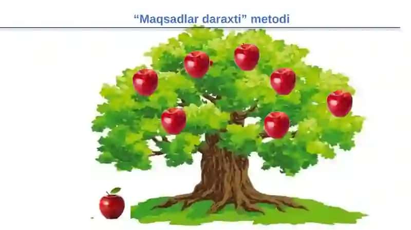 OVQAT HAZM QILISH SISTEMASI VA VAZIFALARI 4