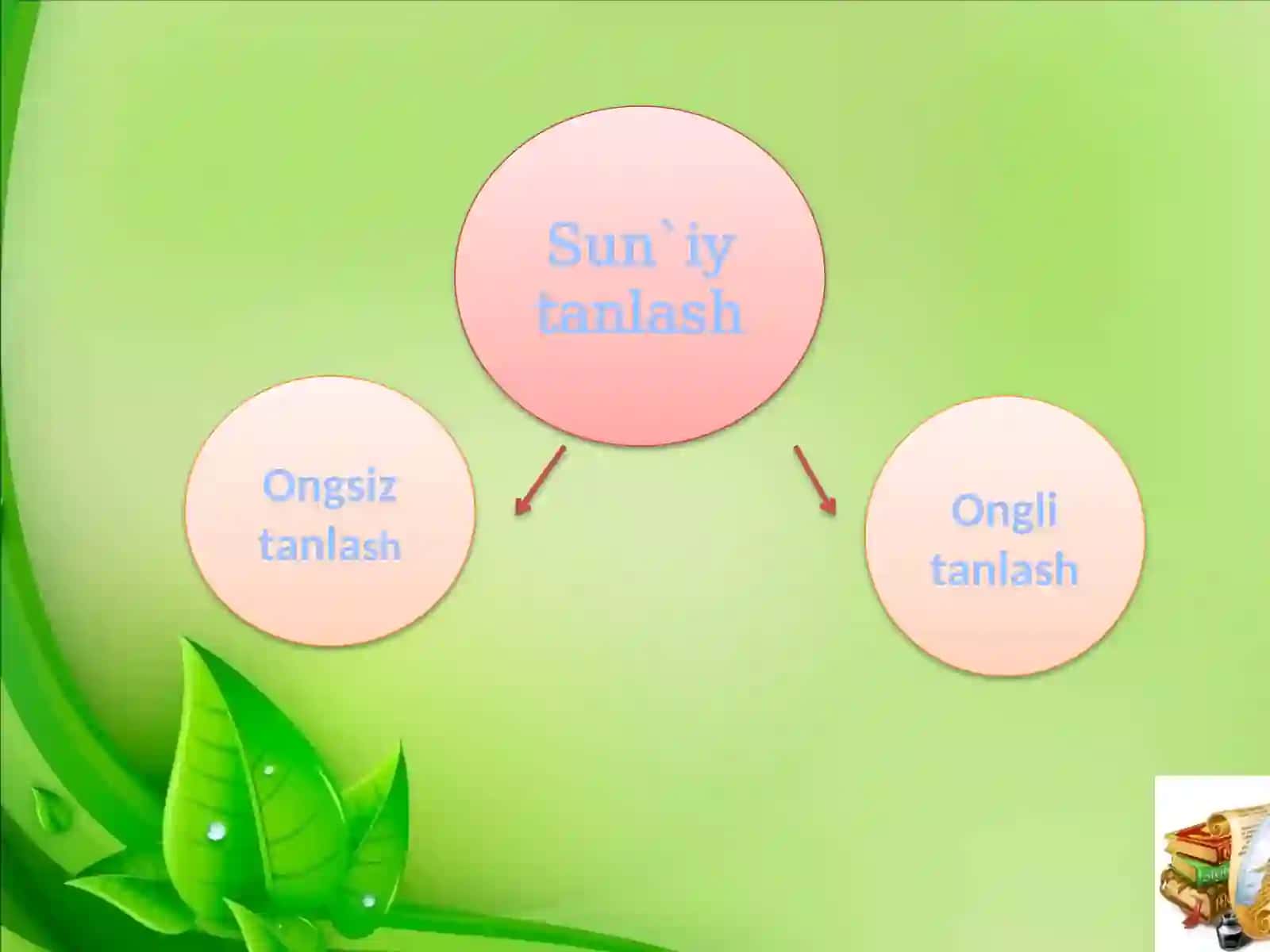 EVOLYUTSION TA`LIMOT 4