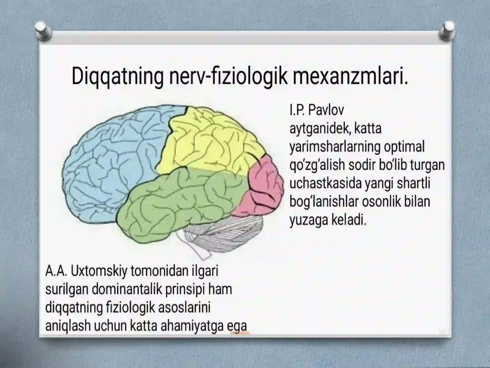 KOGNITIV JARAYONLAR-DIQQAT 4