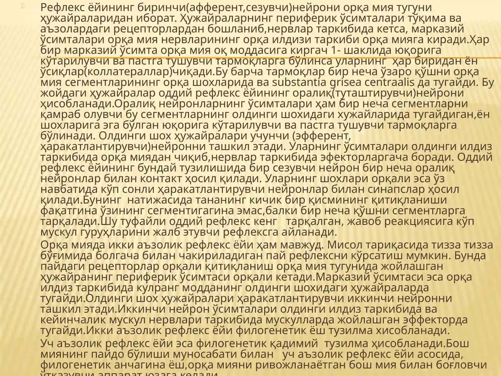 Бош мия пўстлоғи. Бош мия утказув йуллари 4