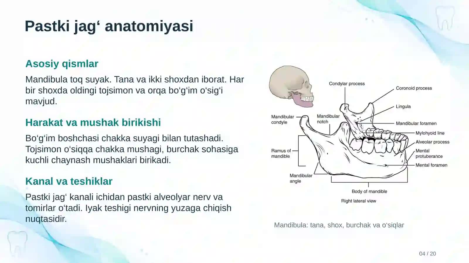 ORTOPEDIK STOMATOLOGIYA 4