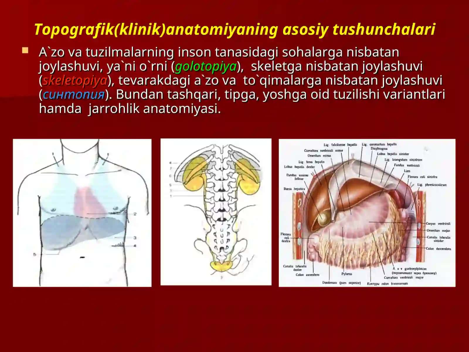 Klinikаnatomiya vaОperativjarrohlikfanivavazifalari 4
