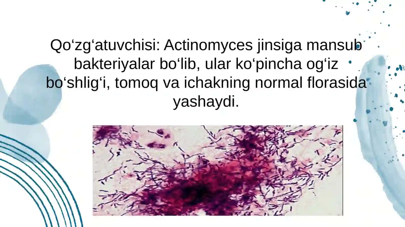 Mikrobiologiya 4