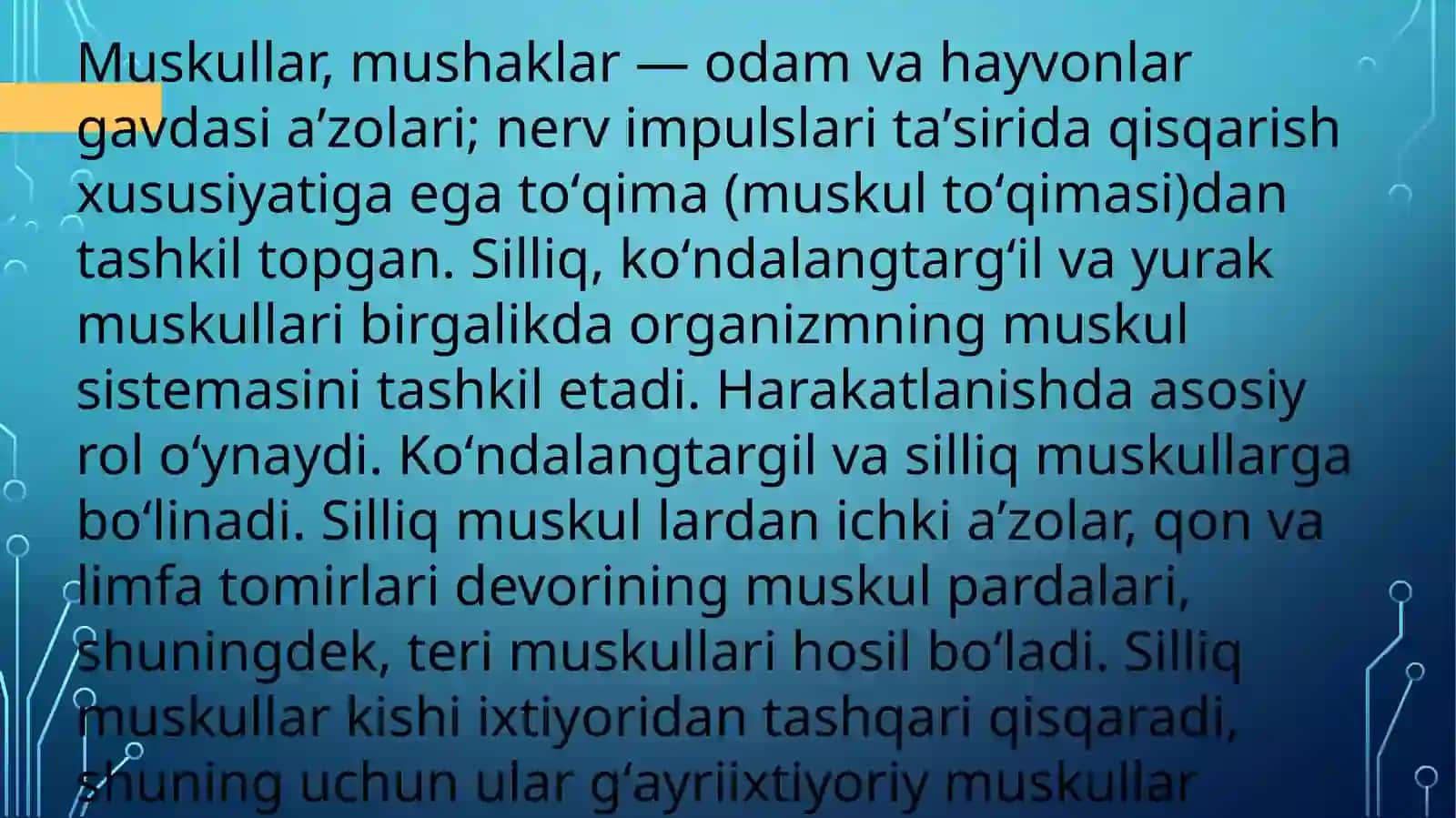 Mushaklar haqida maʼlumot 4