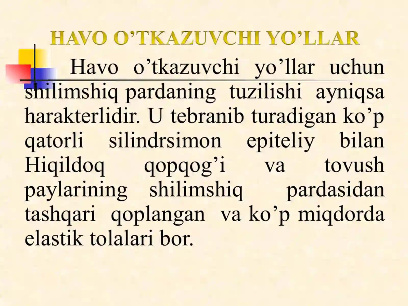 Nafas olish a’zolari tizimining funksional anatomiyasi 4