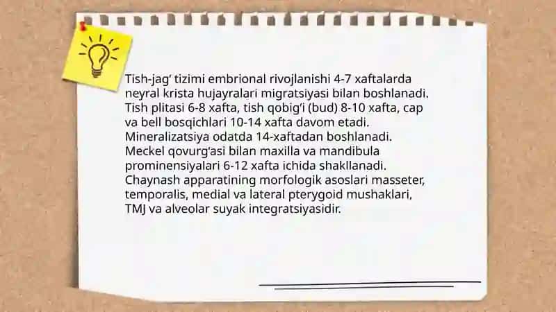 Ortodontiyaga kirish 4