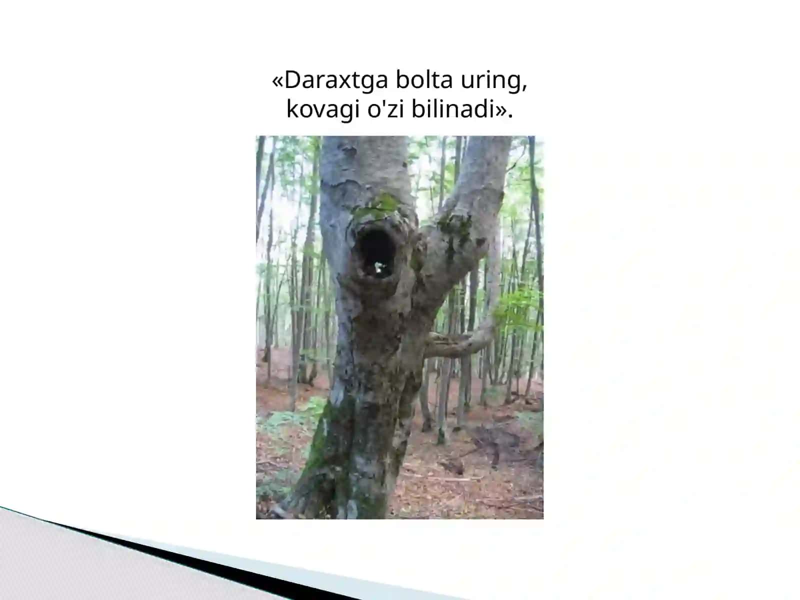 Fizika - Mexanik tebranishlar va to'lqinlar (9-sinf) 4