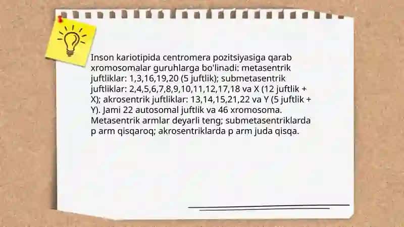 Odam kariotipidagi xromasomalar va genom strukturasiga qarab ularni guruhlarga ajratish 4