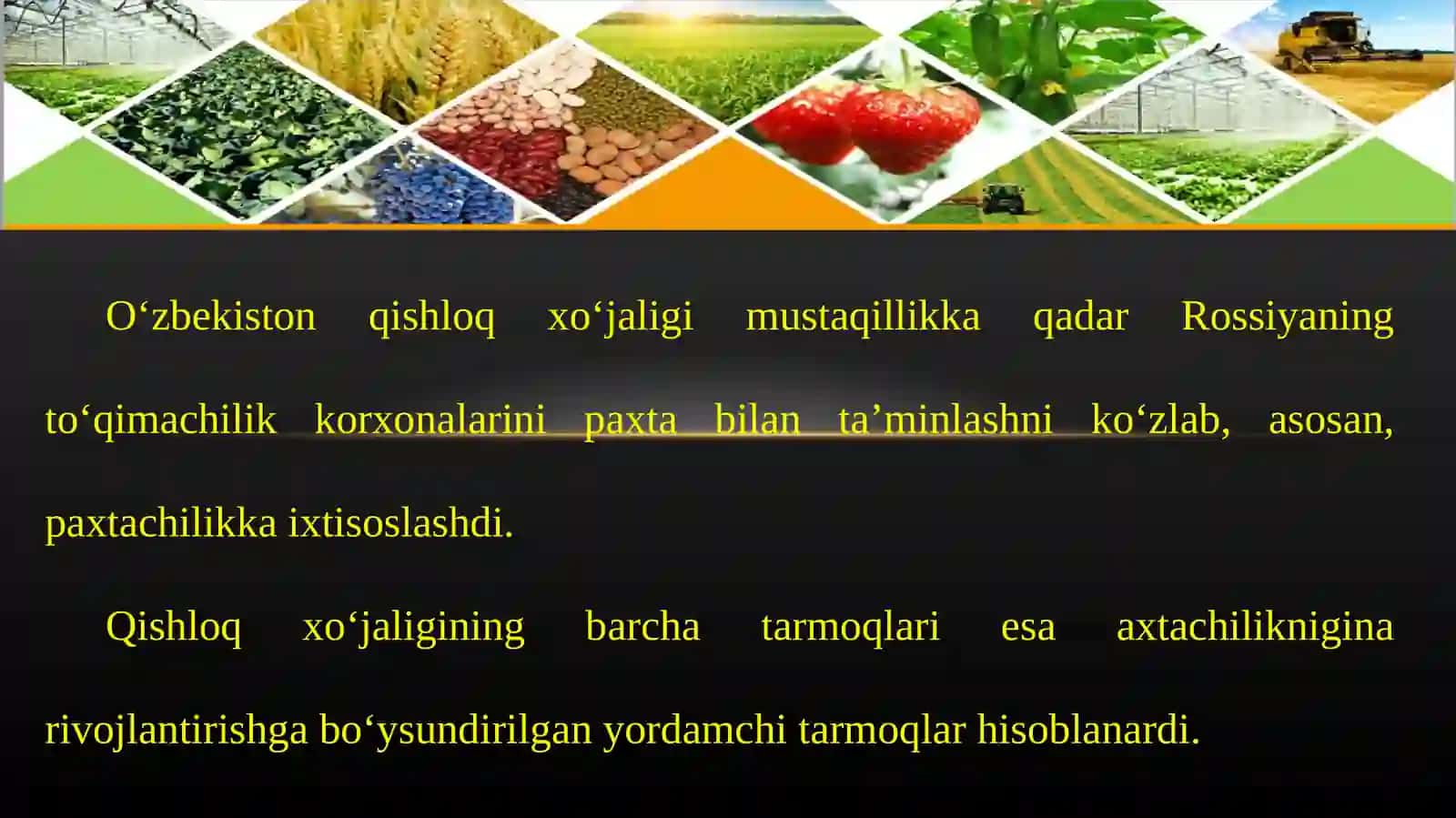 O‘zbеkistоndа qishlоq хo‘jаligining gеоgrаfik tiplаri 4