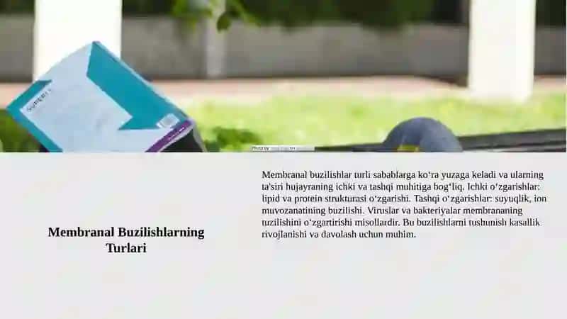 Membranalar buzilishlarining patologik jarayonlarni kelib chiqishdagi o‘rni. 4