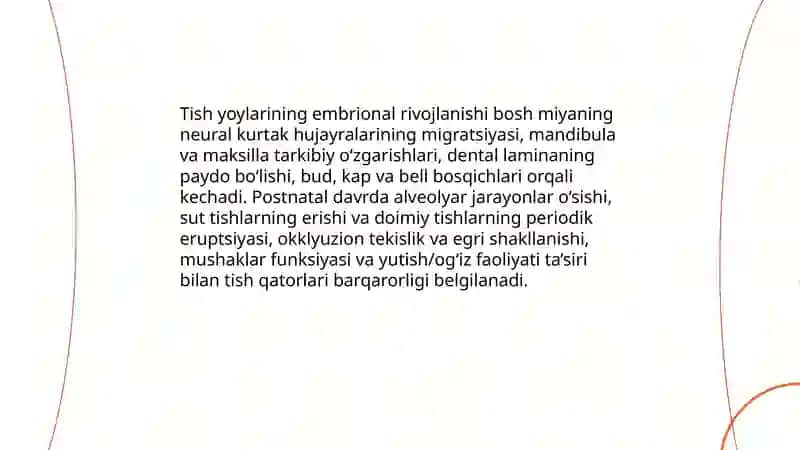 Tish, alveolyar va bazal yoylar haqida tushuncha 4