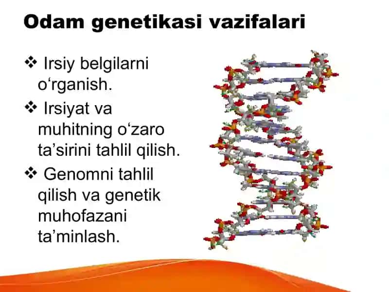 Odamlarning genetikasi 4