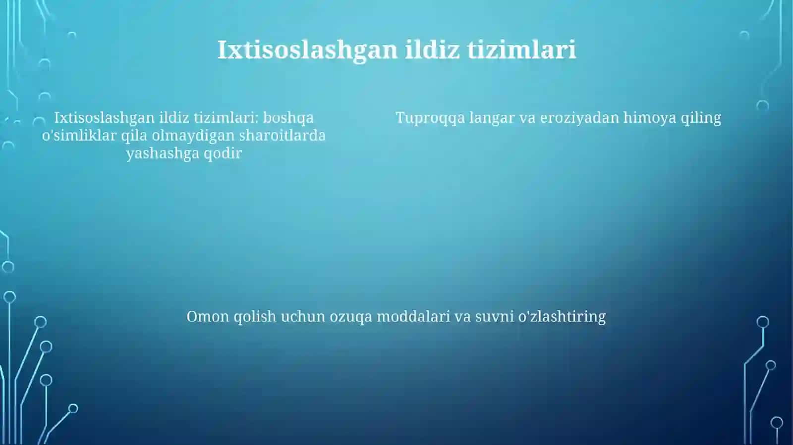 Cho‘L O‘Simliklari 4