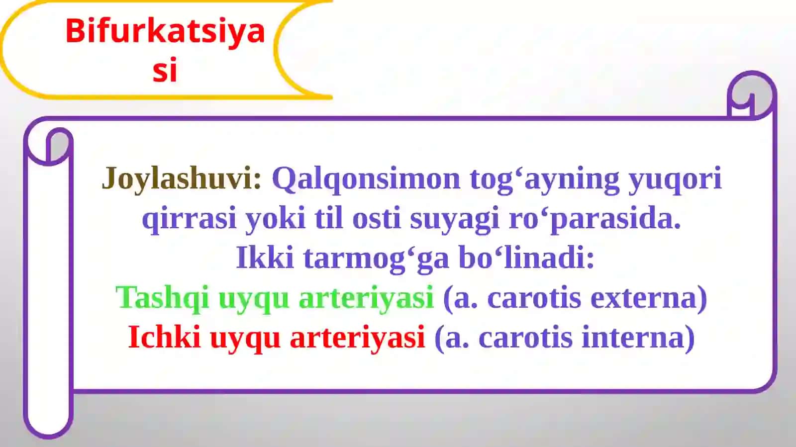 Umumiy uyqu arteriyasi Ichki uyqu arteriyasi Tashqi uyqu arteriyasi Yuz jagʻ sohasining qon bilan ta'minlanishi 4