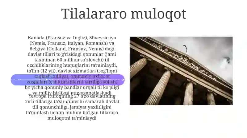 Davlattili haqida qonuning mazmuni va mohiyati 4