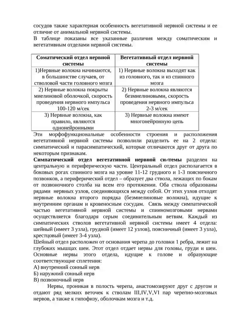 Учебное занятие №18: Вегетативная нервная система 4