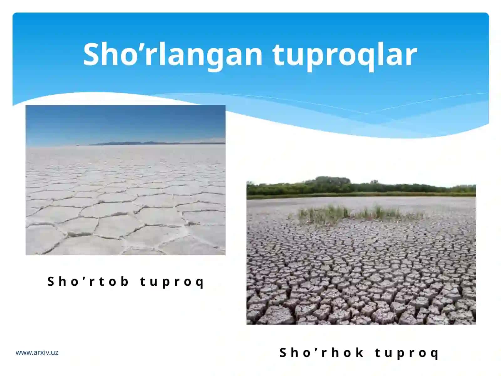 Tuproqsho’rlanishi 4