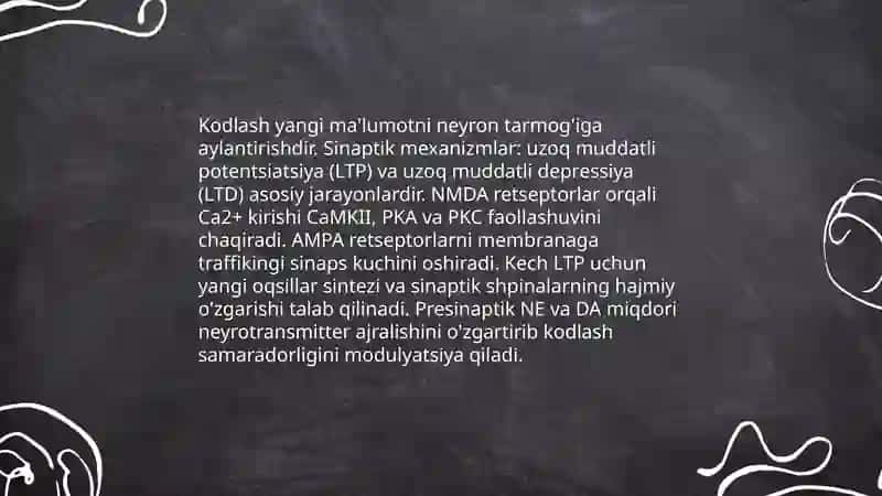 Xotira va uning nerv fiziologik asoslari 4