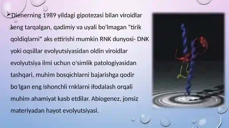 viroidlar va ularning tavsifi 4