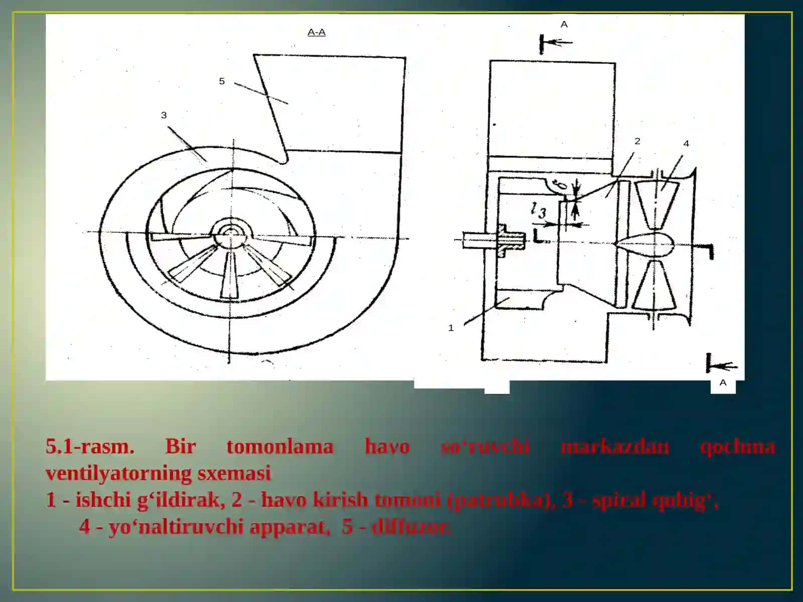 Олмалиқ-2022 4