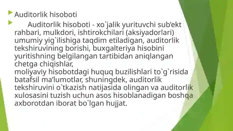 Auditorlik xulosasi 4