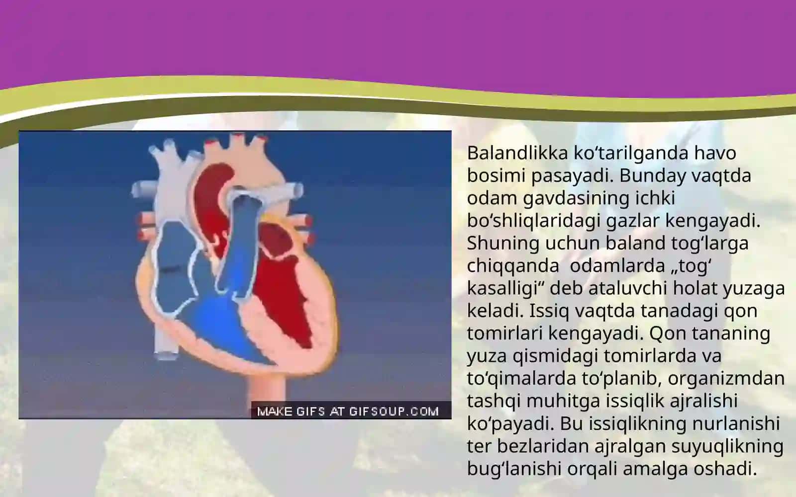 Tashqi muhitlarning yurak faoliyati va qon bosimiga ta’siri 4