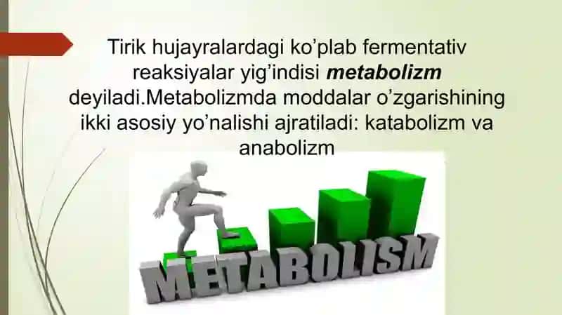 Metabolizm jarayonlari 4