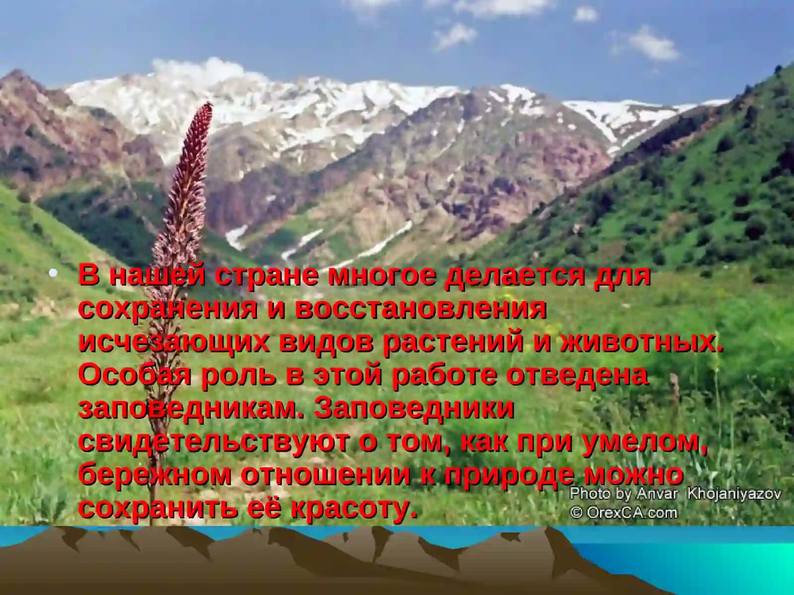 Заповедники Узбекистана 4