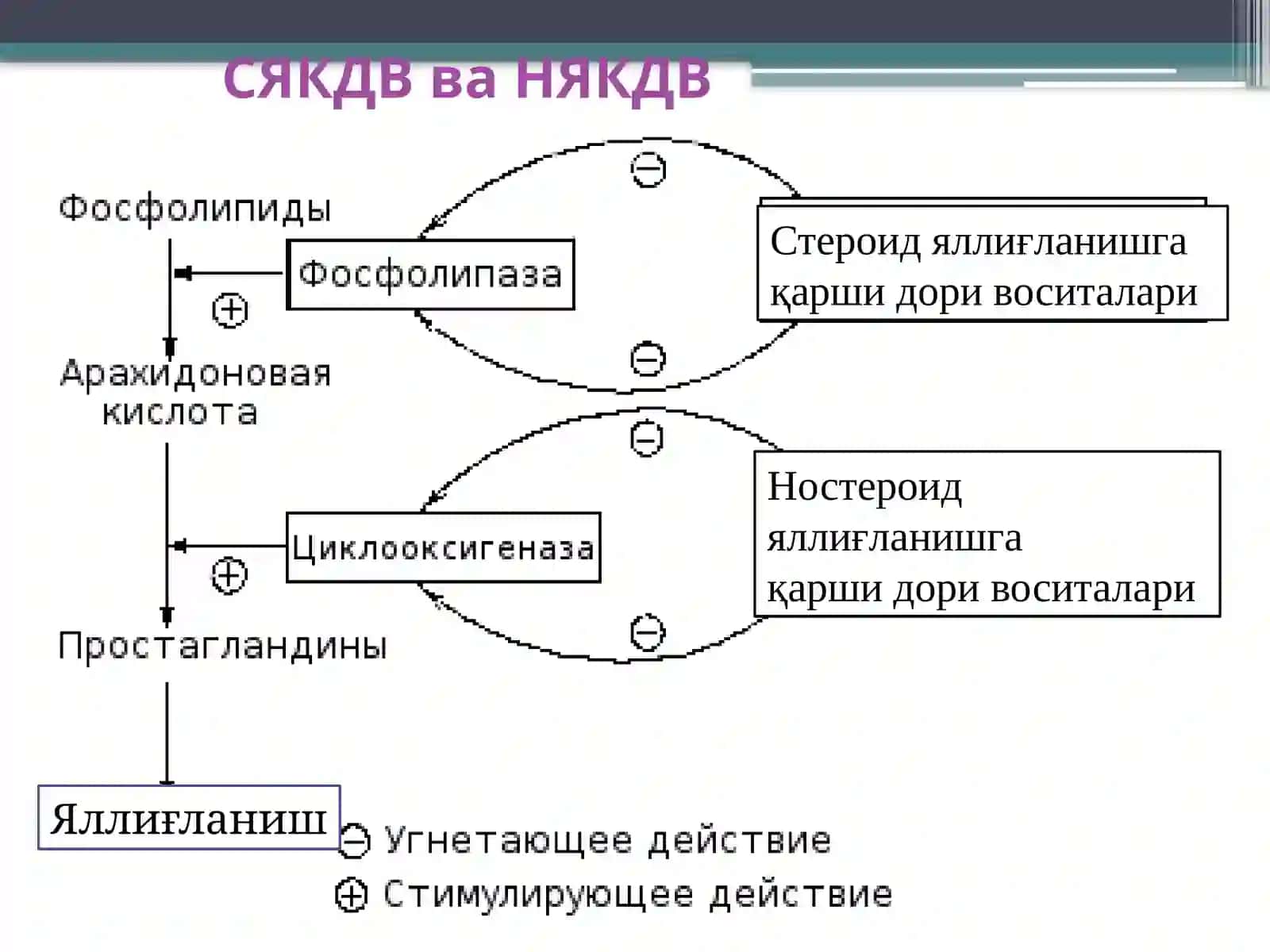 Стероид ва ностероид яллиғланишга қарши дори воситалари 4