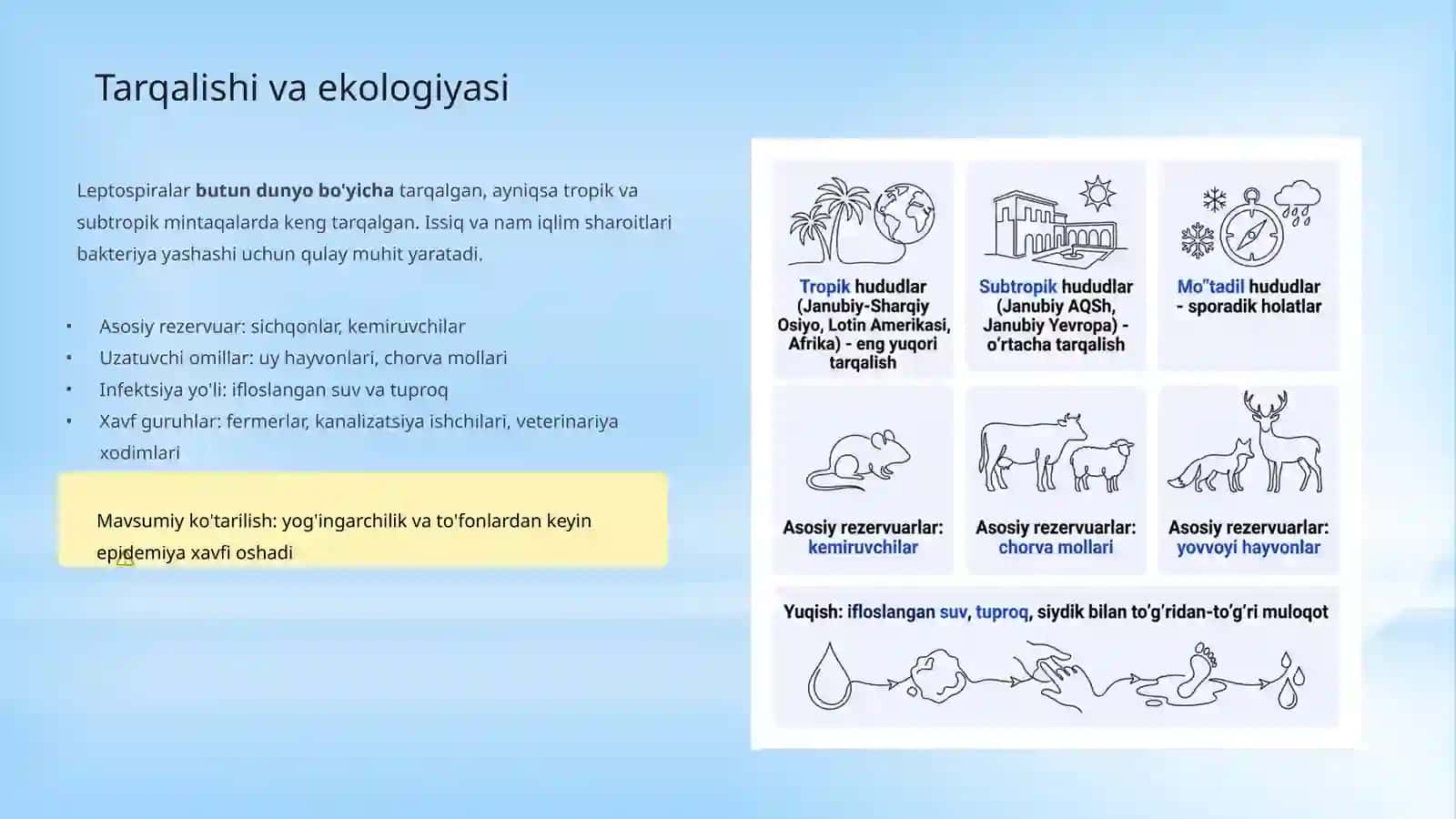 Leptospiralar morfologiyasi, strukturasi,   tarqalganligi, keltirib chiqaruvchi kasalliklari va laboratoriya tashhisi 4