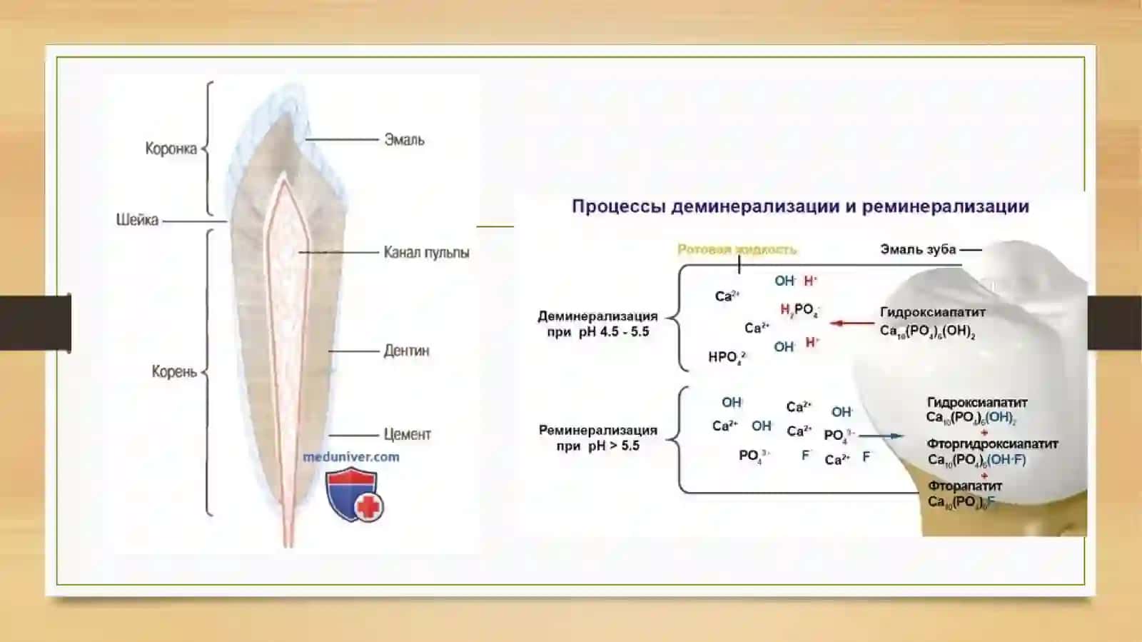 Tishqattiq to'qimalaridagi mineral tuzi 4