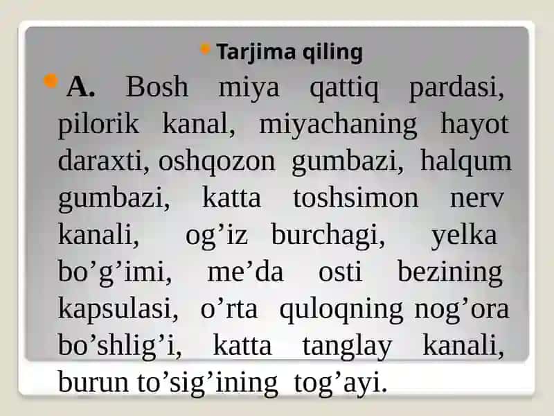Nominativus pluralis va Genetivus pluralisda murak'kab anotomik terminlarni tarjima qilish 4