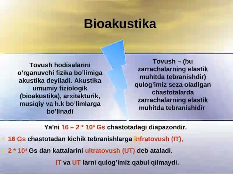 Bioakustika 4