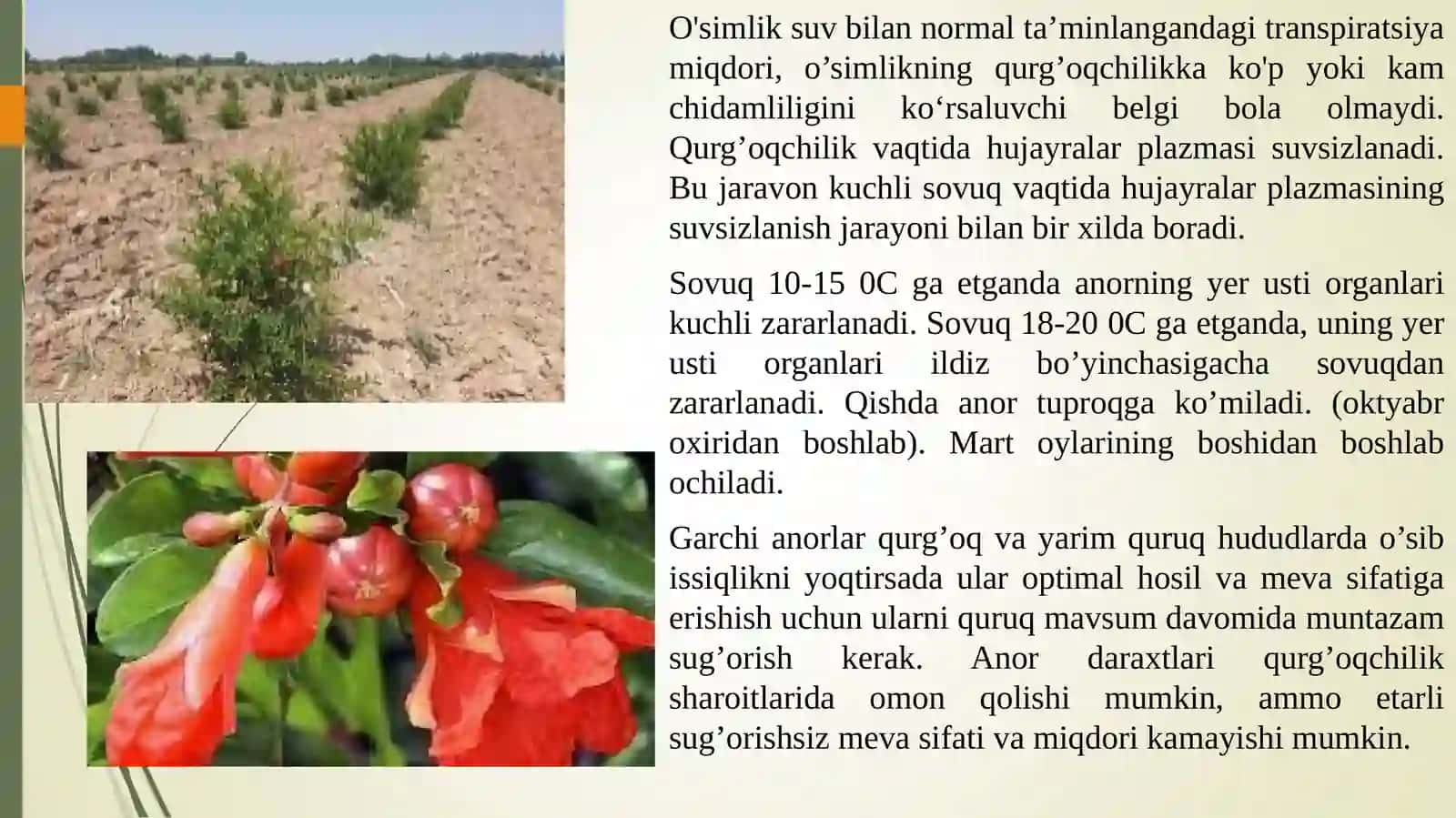ANORNI TASHQI MUHIT OMILLARIGA BO’LGAN TALABI 4