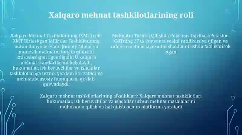 Mehnatni Tashkil Qilishda Pokiston Tajribasi 4