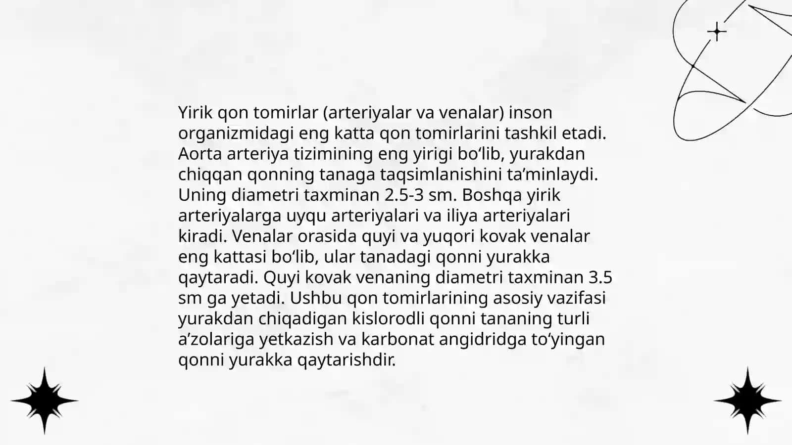 Vena tizimining funktsional anatomiyasi 4
