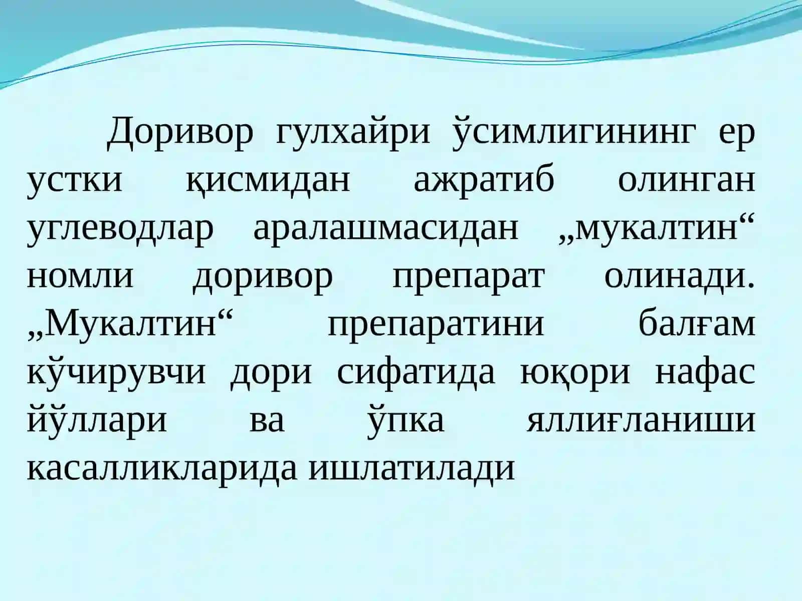 Андижон вилояти да доривор гулхайри доривор хусусиятлари 4